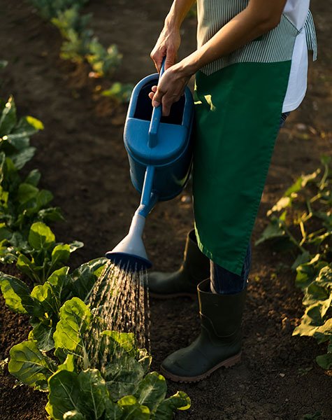 persona regando plantas