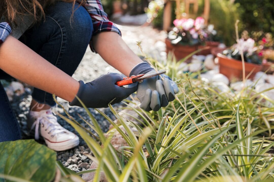 matenimiento jardin