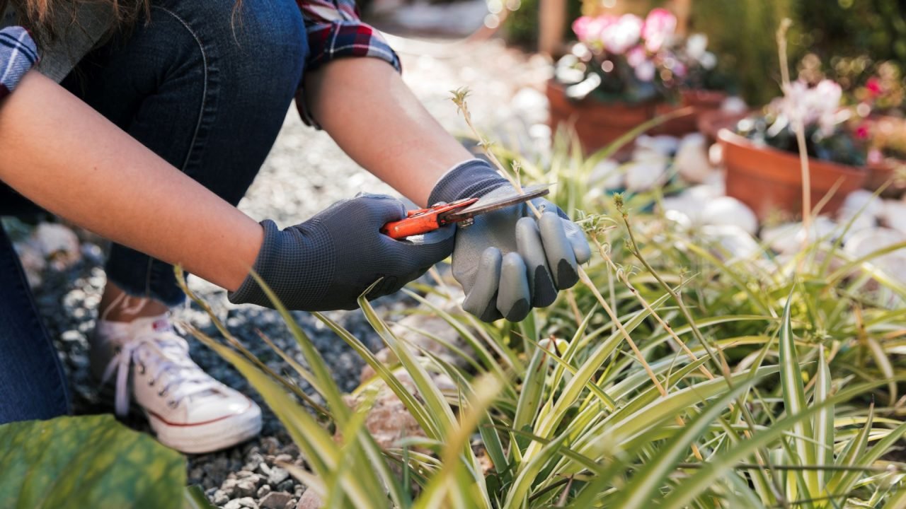 matenimiento jardin
